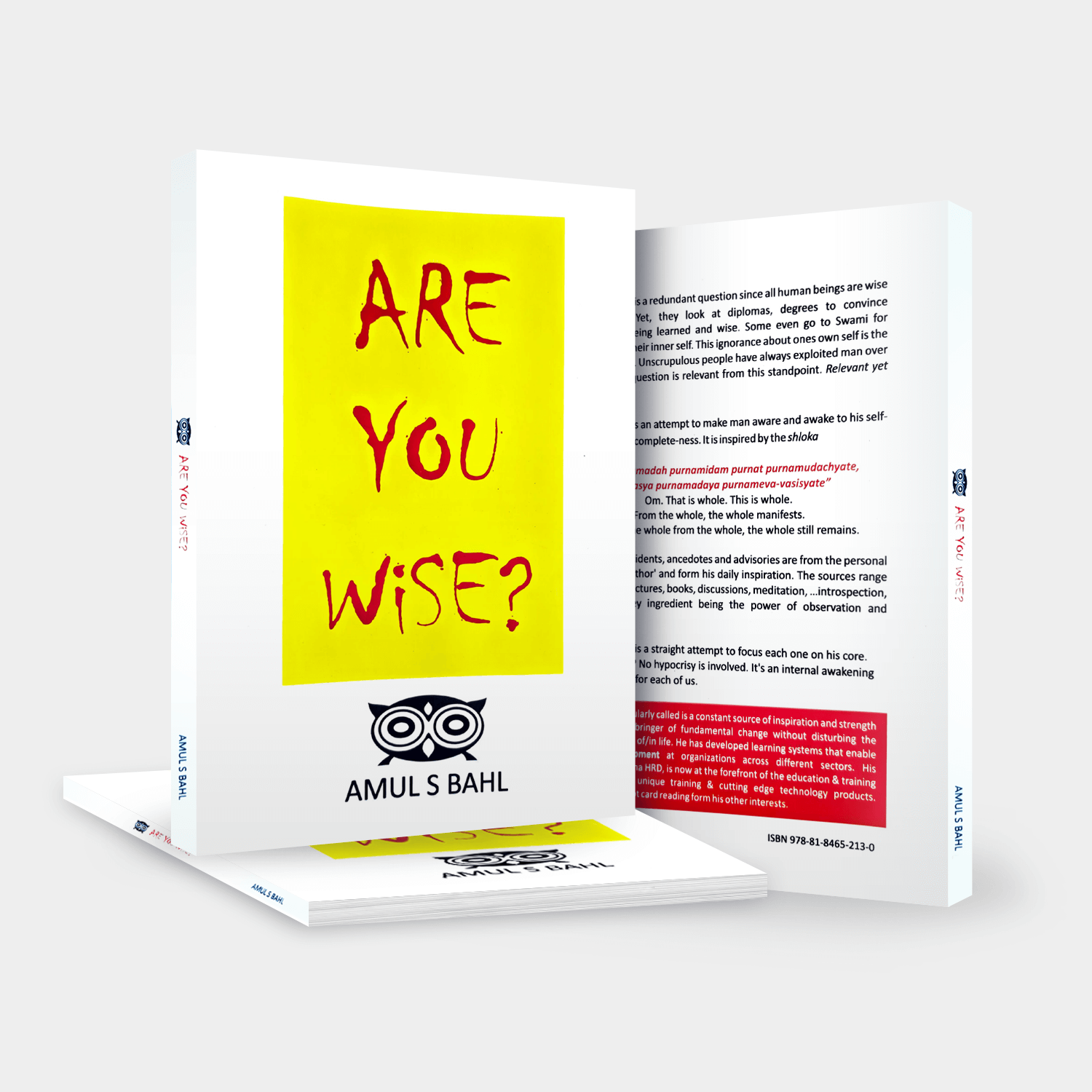 Are You Wise Book View 3